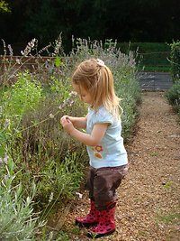 Highly Sensitive Children. childforest